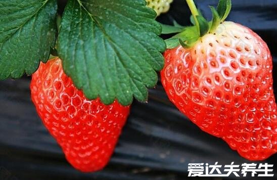 十大碱性食物排名,海带当之无愧的“碱性食物之王”