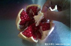石榴怎么剥皮小妙招,只需3步方便快速不沾