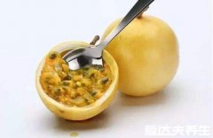 食用牛油果的功效与禁忌,对女性产后的调