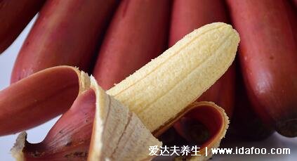 世界十大奢侈水果排名,黑皮西瓜最贵(一个价格高达1.7万人民币)