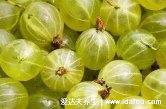 世界十大奢侈水果排名,黑皮西瓜最贵(一个价格高达1.7万人民币)