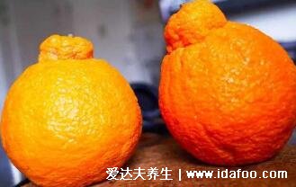 世界十大奢侈水果排名,黑皮西瓜最贵(一个价格高达1.7万人民币)