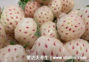 世界十大奢侈水果排名,黑皮西瓜最贵(一个价格高达1.7万人民币)