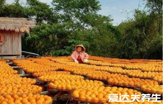 柿饼的制作过程,从原料的挑选到捏型上霜每一步都十分的重要