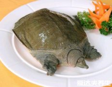 水鱼怎么杀是什么,甲鱼的三种处理方法简