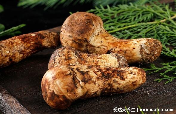 松茸的吃法及做法,松茸的五大吃法和六大禁忌