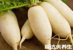 立冬养生吃什么食物好，多吃这五种食物最