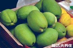 酸木瓜的功效与作用，不仅能丰胸通乳还能