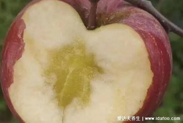 糖心苹果是一种病吗,是代谢疾病可以吃对身体没有影响