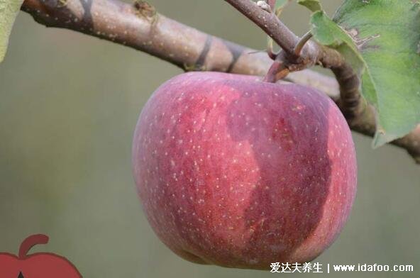 糖心苹果是一种病吗,是代谢疾病可以吃对身体没有影响