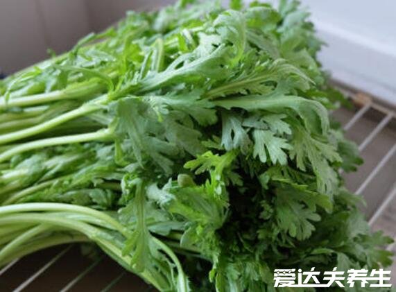 茼蒿的功效与作用,开胃消食润肠通便(脾胃不足者禁食)