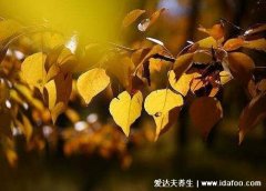 立秋当天有什么禁忌,不宜在田间行走小心