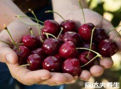 糖尿病人能吃什么水果，看似普通的苹果调