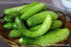 天天晚上吃黄瓜一个月,减肥祛斑助消化
