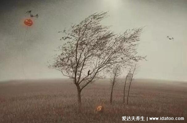 梦见死人复活什么预兆,多半是好事附不同场景的梦境解析