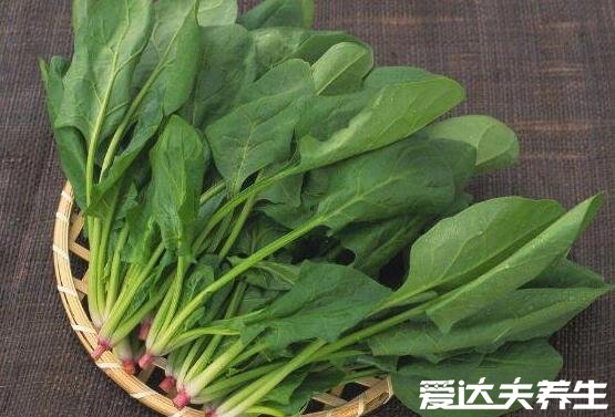 胃不好吃什么东西养胃,这5大养胃食材美味又便宜(苹果也在其中)