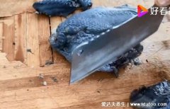 乌鸡汤怎么炖最有营养，试试和中华神菇山