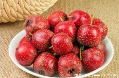 西瓜和山楂哪个含糖量高,山楂是高糖低甜