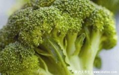 西兰花变黄了还能吃吗，不一定不能吃(有腐