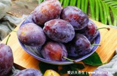 西梅的营养价值与功效与作用,铁元素含量