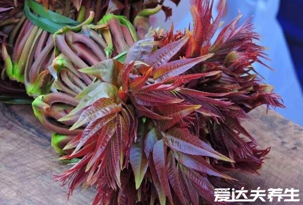 香椿的功效与作用，吃香椿的禁忌(5大功效)