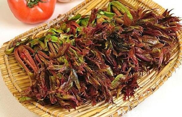 香椿含有致癌物已确定,别担心注意4点吃起来才健康(附功效禁忌)