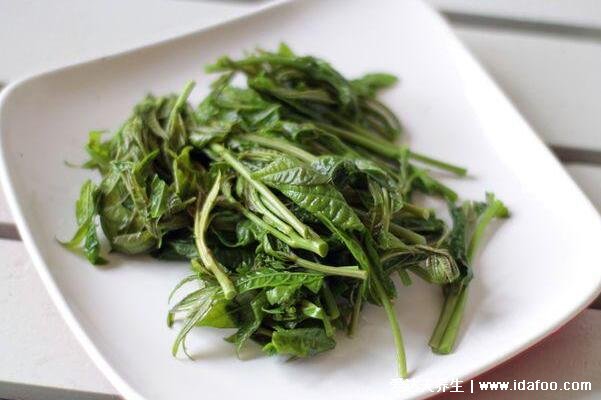 香椿是发物吗什么人不适合吃,是发物3类人群不宜吃(5大功效作用)