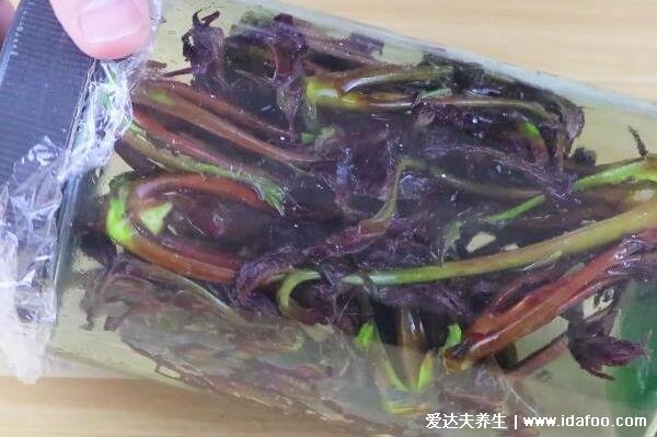 香椿芽怎么保存才新鲜，3种方法从春天放到冬天都没问题