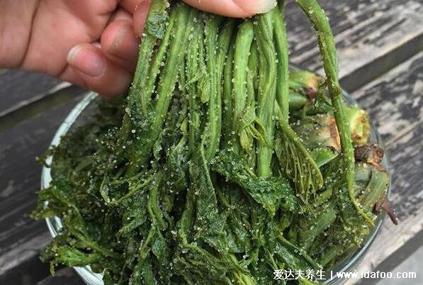 香椿芽怎么保存才新鲜，3种方法从春天放到冬天都没问题