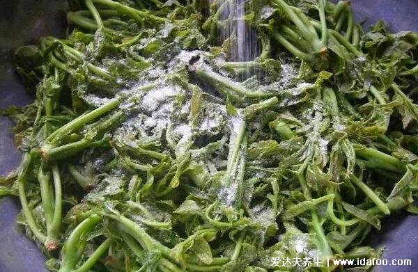 香椿芽怎么腌制好吃，一定要焯水口感鲜嫩又健康(附功效与禁忌)