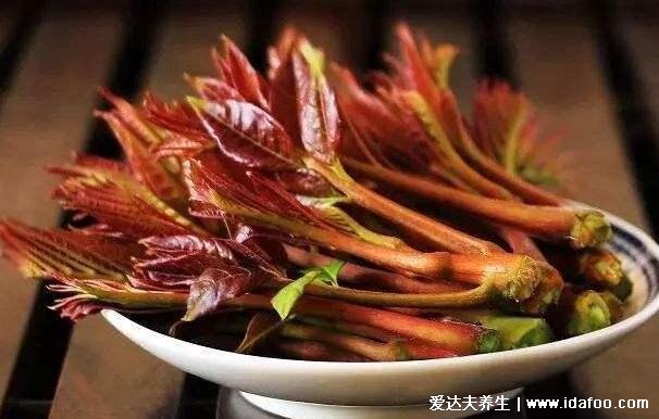 香椿芽怎么腌制好吃，一定要焯水口感鲜嫩又健康(附功效与禁忌)