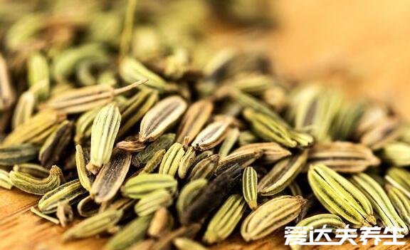 小茴香的功效与作用,能够散寒止痛健胃行气对女性很友好(图片)