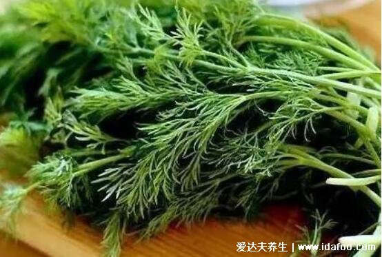 香料小茴香图片,小茴香的功效与作用吃法