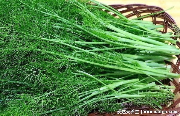 香料小茴香图片,小茴香的功效与作用吃法