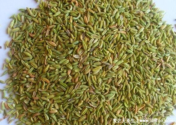 香料小茴香图片,小茴香的功效与作用吃法