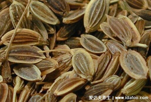 香料小茴香图片,小茴香的功效与作用吃法