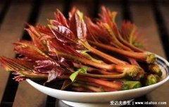 香椿芽怎么腌制好吃，一定要焯水口感鲜嫩