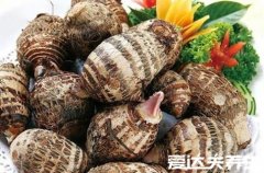 香蕉不能和什么一起吃，这六种食物与它相