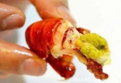 小龙虾头里的是虾黄吗，不止有虾黄还有器