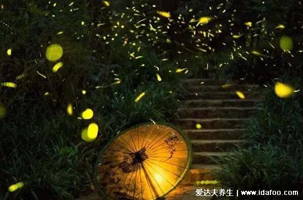 七月流火是哪个季节,农历七月天气逐渐转凉(大火星西沉)