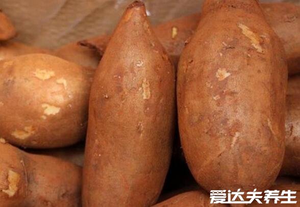 雪莲果图片及营养价值,主要功效可以排毒清肠促消化