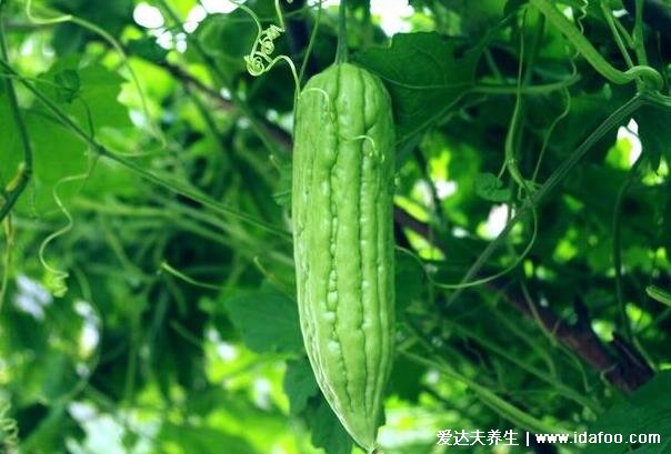 血糖高吃什么食物最好最佳,8种蔬菜水果放心吃能降糖