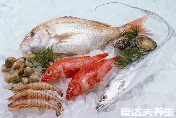 血脂高的人吃什么食物可以降血脂,深海鱼能有效降低血压血脂