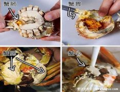 新手怎么吃螃蟹图解,6个步骤先吃蟹盖再吃