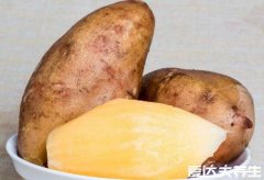 雪莲果图片及营养价值，主要功效可以排毒