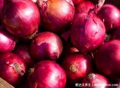 血糖高吃什么食物最好最佳，血糖高吃的食