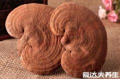 血脂高的人吃什么食物可以降血脂，深海鱼