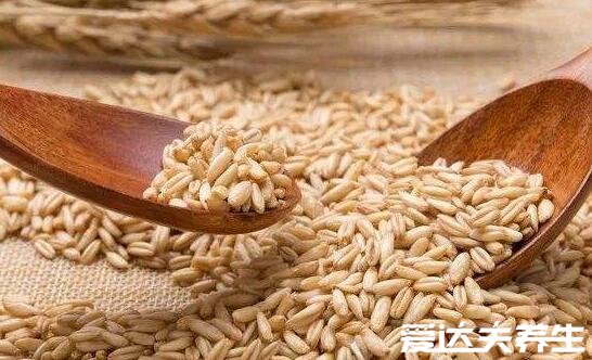 燕麦片的功效与作用及食用方法,降脂降糖、减肥人群的最佳选择