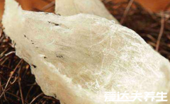 燕窝的功效与作用禁忌,美容养颜效果佳(附