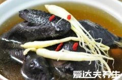 秋季养生汤喝什么汤好，六道秋天养身汤让